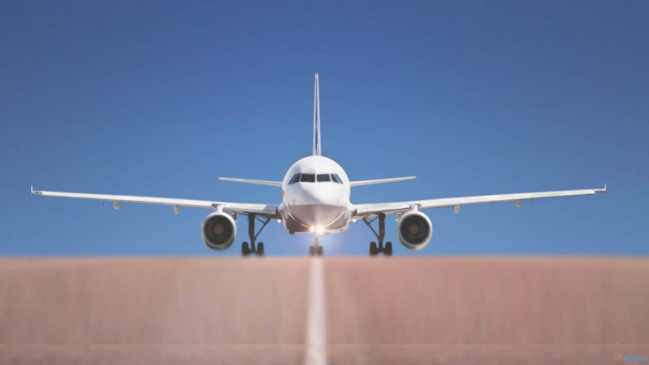 Agencia aduanal y comercializadora